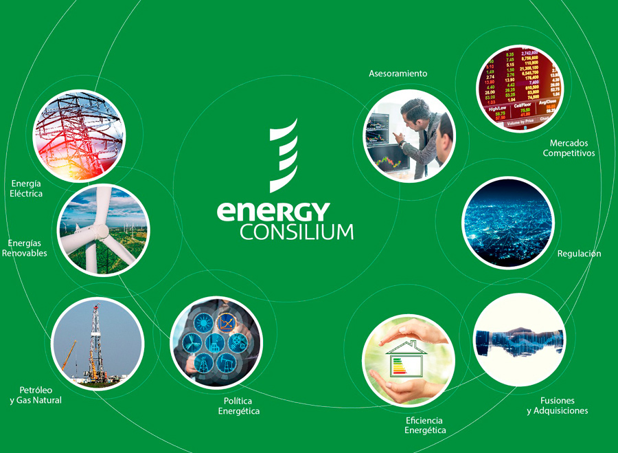 Energy Consilium - Servicios