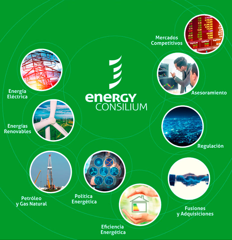 Energy Consilium - Servicios